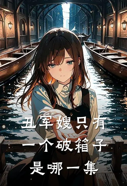 丑军嫂只有一个破箱子是哪一集