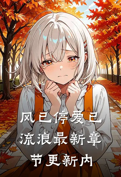 风已停爱已流浪最新章节更新内